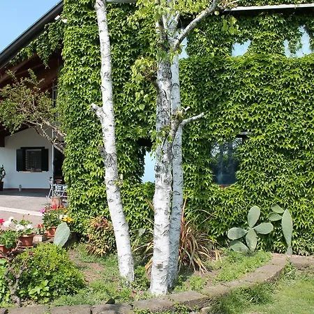 My Chic Garda House * Castelnuovo del Garda